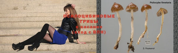 ALPHA-PVP Михайловск