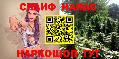 сатива Балахна