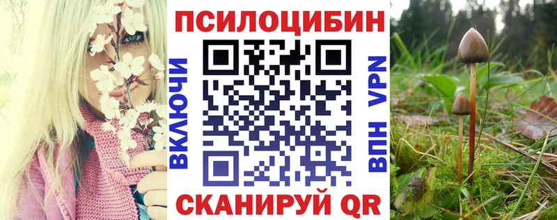 Галлюциногенные грибы Psilocybine cubensis хочу наркоту Котлас