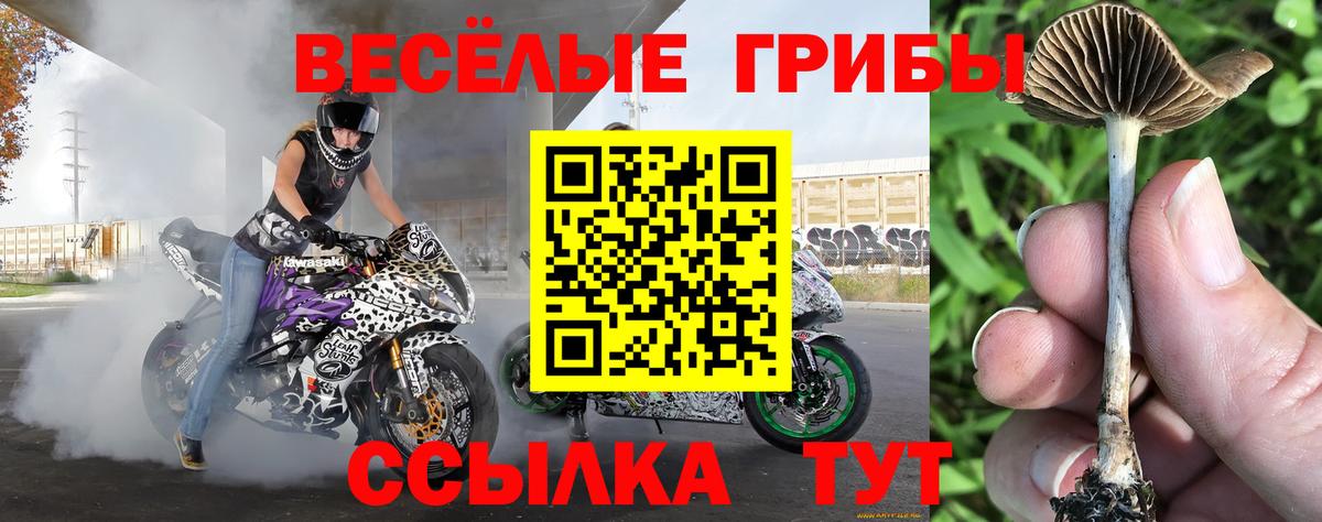 КОКАИН  Вход с VPN  A-PVP СОЛЬ кристаллы  ГАШ  Котлас  Меф   Каннабис  Экстази 