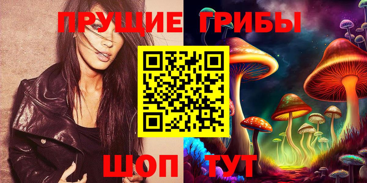 Псилоцибиновые грибы прущие грибы  Псилоцибиновые грибы мицелий  Котлас  Вход с VPN 