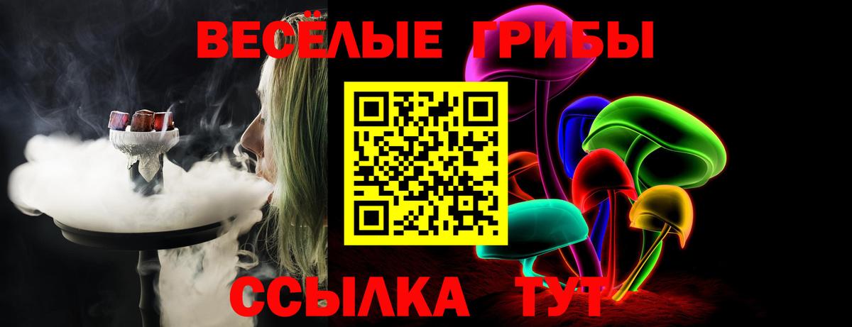 Псилоцибиновые грибы прущие грибы Котлас
